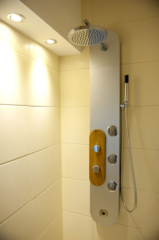 Rain Shower Head and Minimal Hardware